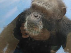 -合肥野生动物园