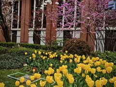 -上海交通大学医学院附属瑞金医院(总院)