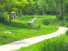 -天津东丽湖风景区