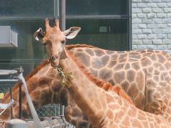 -石家庄市动物园