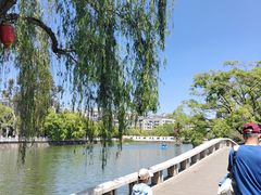 -翠湖公园