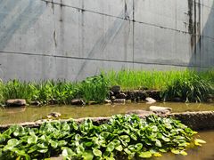 -中国湿地博物馆