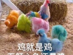 -聂记粤菜馆(鼓西路店)
