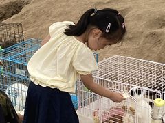 -前小桔亲子创意农场·草莓采摘·露营烧烤