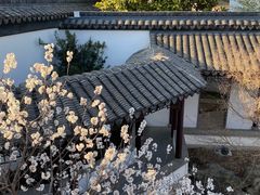 -召稼楼古镇