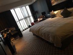 -常州环球恐龙城维景国际大酒店