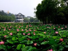 -南戴河国际娱乐中心