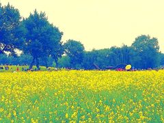 景点-长白岛森林公园