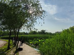 -太阳宫公园