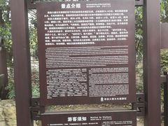 -荣县大佛