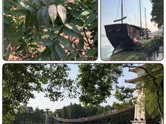 -东湖落雁景区