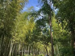 -同里国家湿地公园