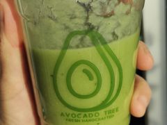 -油梨树AVOCADO TREE(望京店)