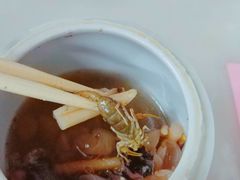 蝎子党参乌鸡汤-国英炖品店(甲子路店)