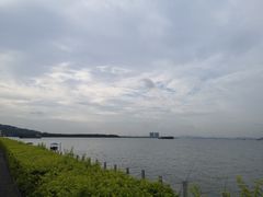 -海鸥岛