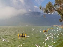 -海埂大坝