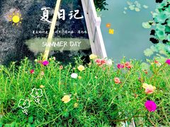 -长洲岛都市农业公园