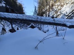 -峡谷浮石林景区