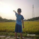 一场说走就走的金黄之旅