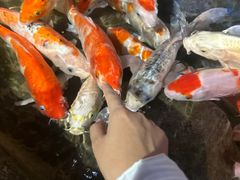 -海合安青岛极地海洋公园