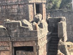 -南昌动物园