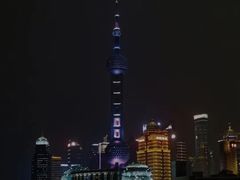 -上海南新雅大酒店