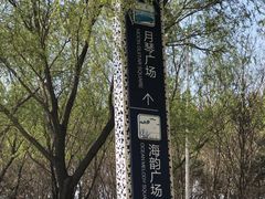 -丁香湖公园