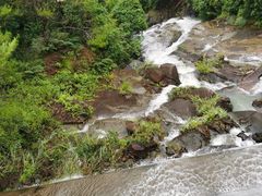 -广州白江湖森林公园