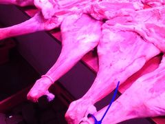 -无锡天鹏食品城