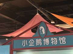 -海合安武汉极地海洋公园