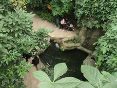 -南山植物园