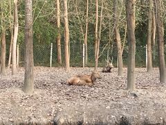 -溱湖国家湿地公园