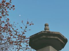 -惠州西湖丰渚园