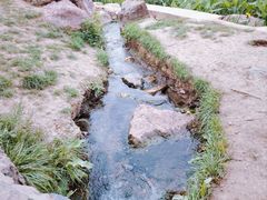-羊山湖公园