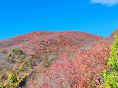 -周口店坡峰岭风景区