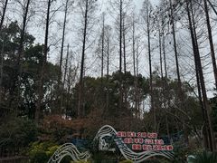 -徐家汇源景区-衡山公园