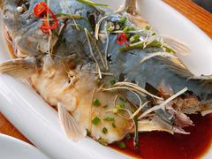 -老唐三下锅 ·张家界地标美食(溪布街店)