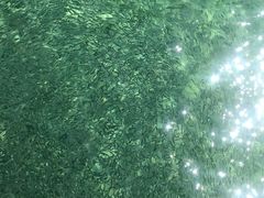 -马奴干岛