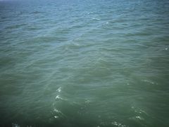 -舟山希尔顿酒店