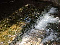 -丽江束河古镇-石莲古寺