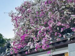 -深圳国际园林花卉博览园