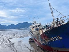 -北岐滩涂