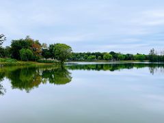 -上海长兴岛郊野公园