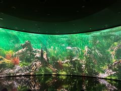 -中国湿地博物馆
