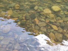 -白河湾生态旅游一条川
