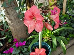 -国家植物园南园