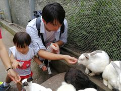 -西霞口神雕山野生动物世界