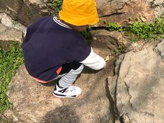-紫金山索道-售票处