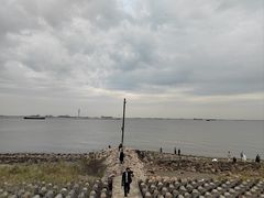 -上海滨江森林公园