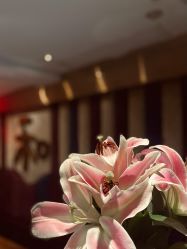 -琦品高端美容SPA私佳美场